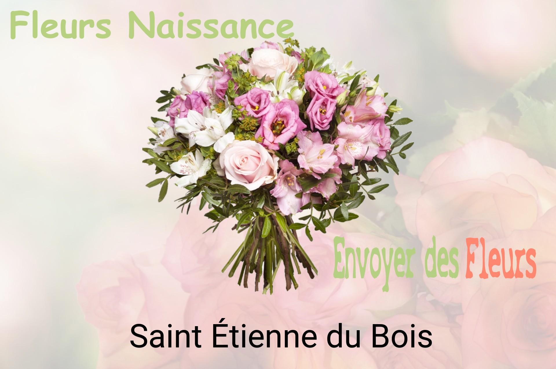Bouquet de fleurs de naissance livré à Saint-Étienne-du-Bois