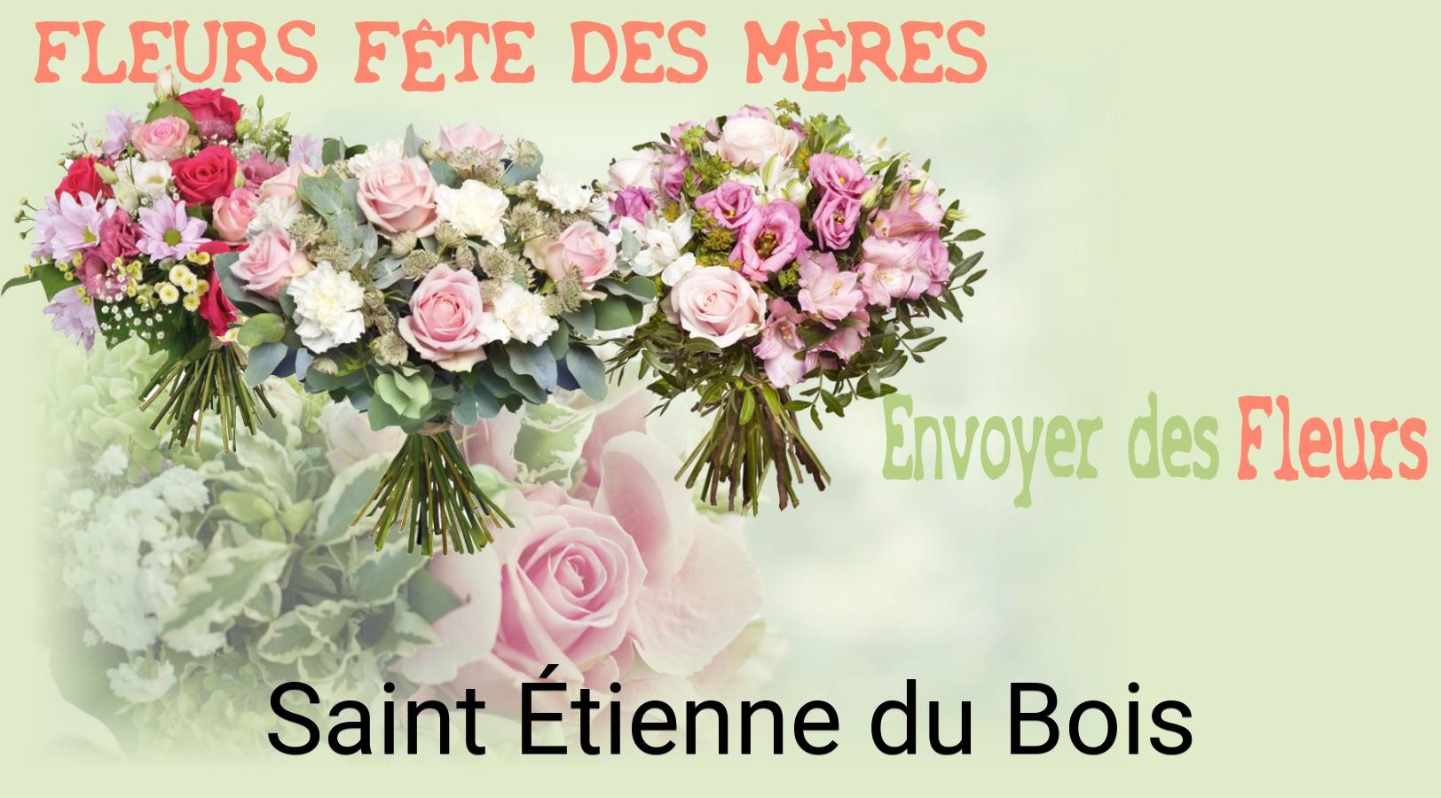 Bouquet de Fête des Mères livré à Saint-Étienne-du-Bois